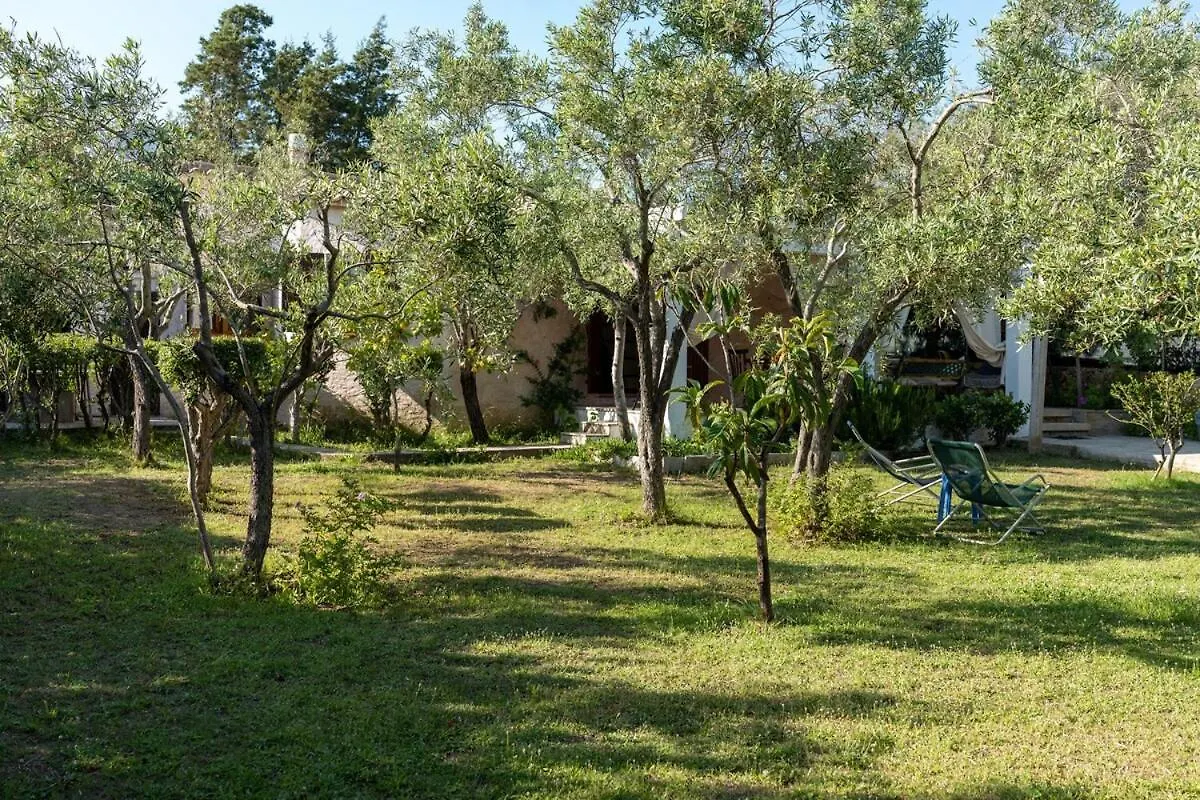 Casa Ginepro Villa Olbia